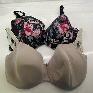 Cacique bras size 40F